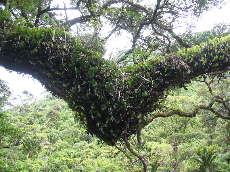 da ist wohl was schiefgegangen :-)